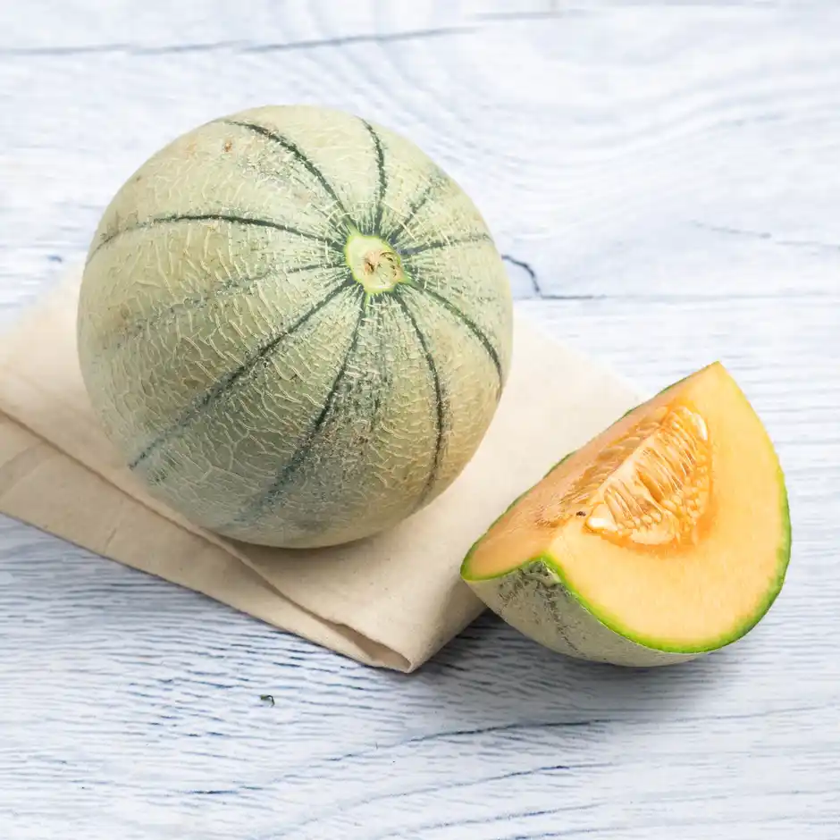 Muskmelon