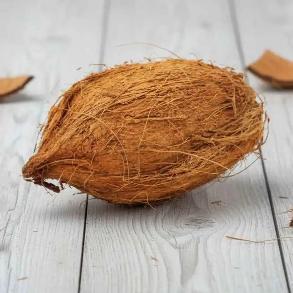 Coconut