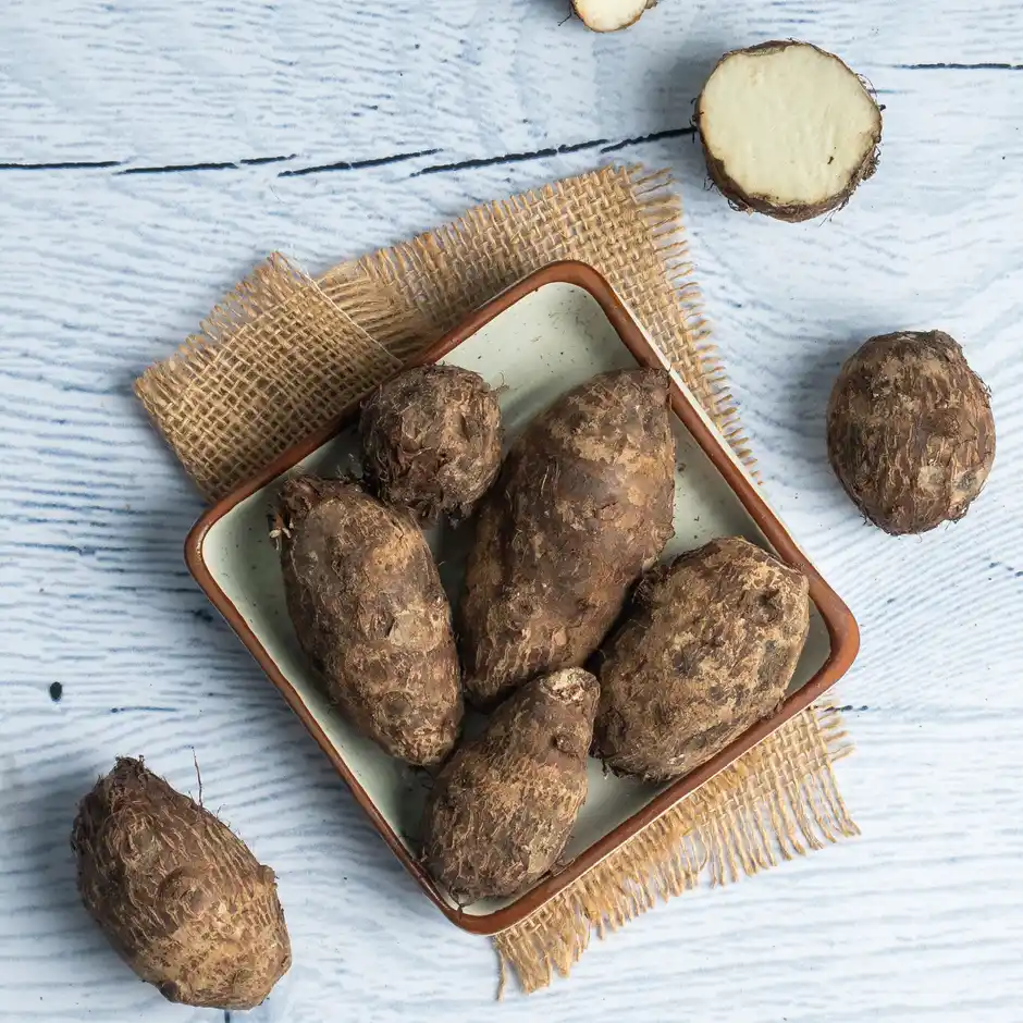 Colocasia Arbi