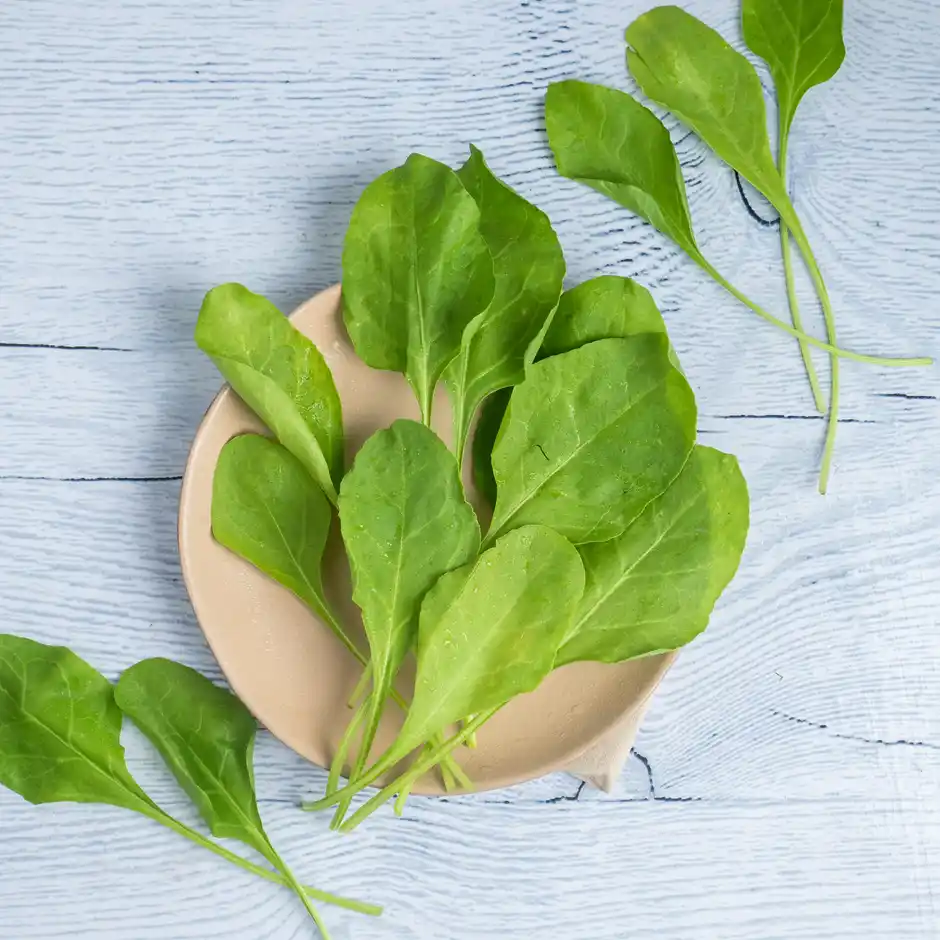 Spinach Palak
