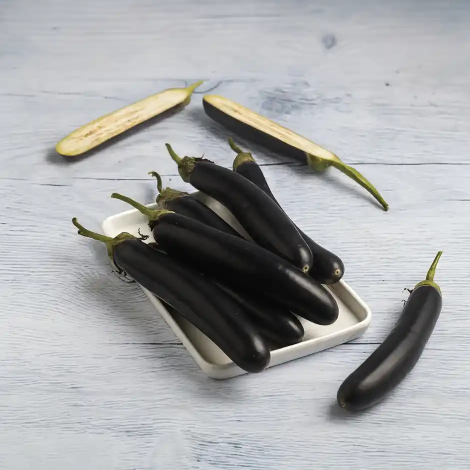 Brinjal Purple Long