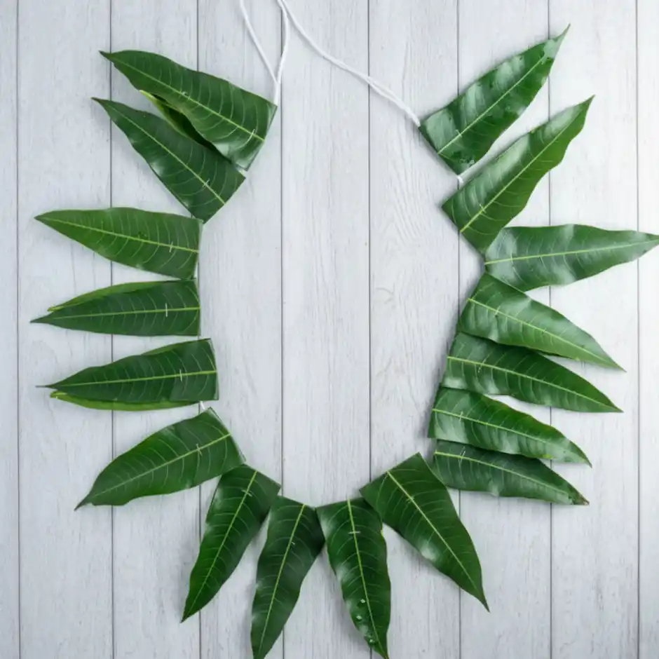 Mango Leaf Thorana