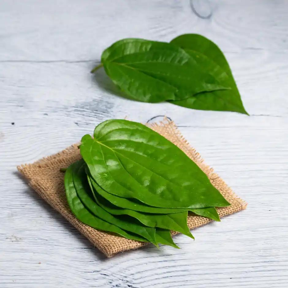 Betel Leaves Paan