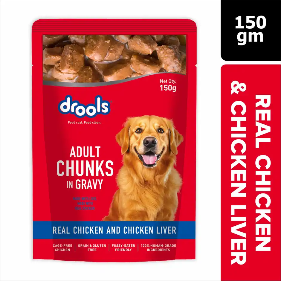 Drools Adult Wet Dog Food  Real Chicken & Liver Chunks in Gravy