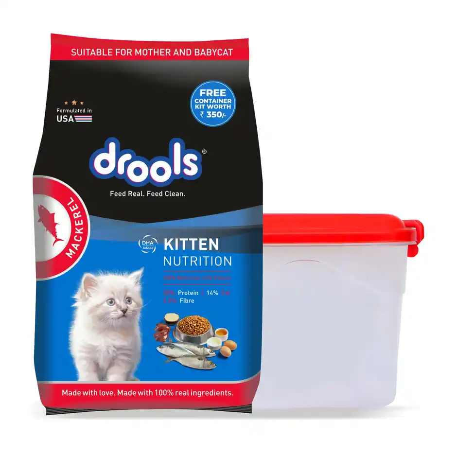 Drools Kitten  112 Months Dry Cat Food Mackerl With Free Container