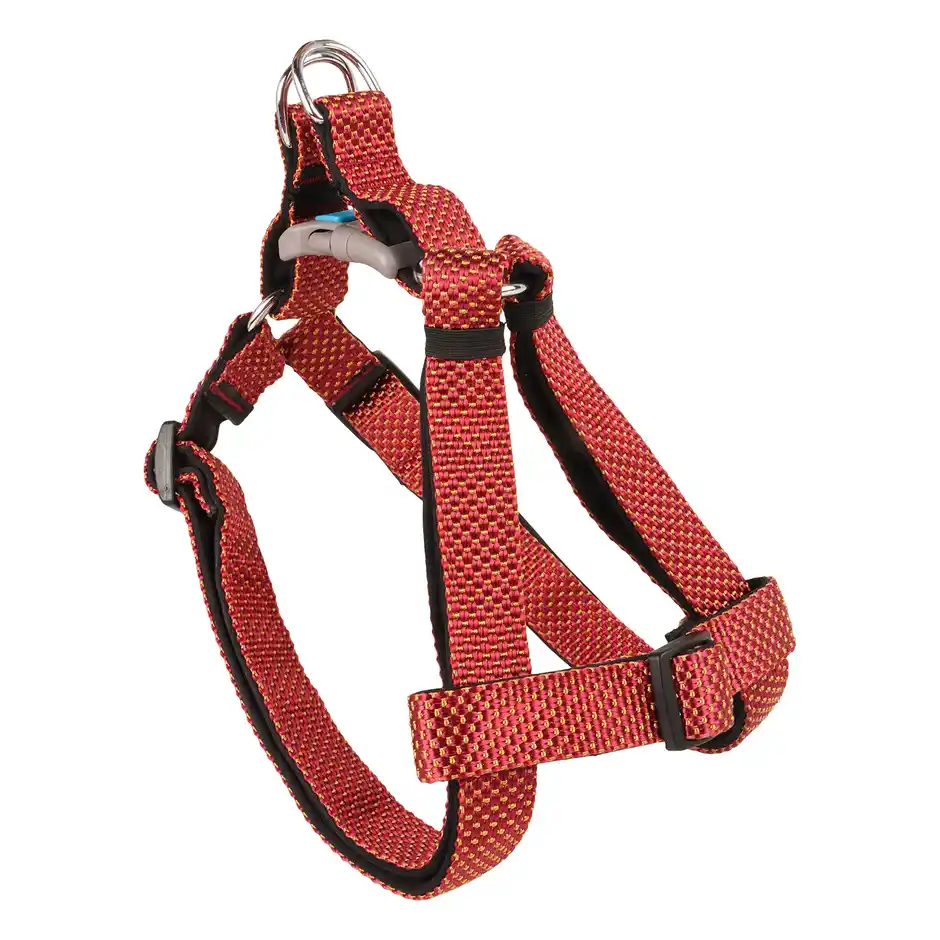 BearHugs Essential Step In Dog Harness Padded with Lock  Large  25 mm